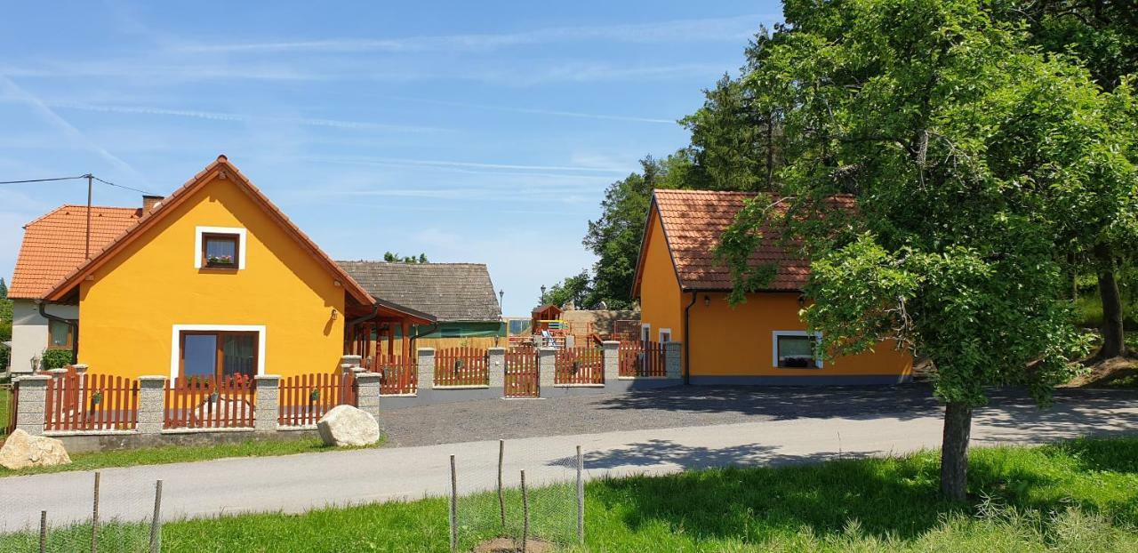 Penzion U Pepicka Netolice Kültér fotó