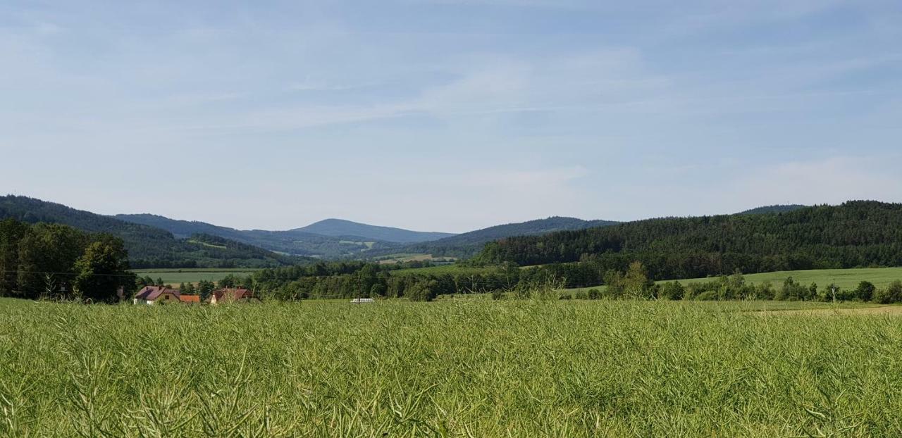 Penzion U Pepicka Netolice Kültér fotó